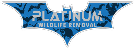 Michigan Wildlife Removal